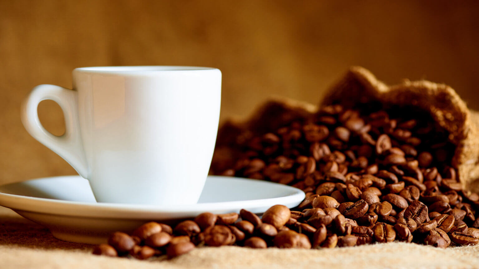 Best Coffee Franchises for Investor Visas Visa Franchise